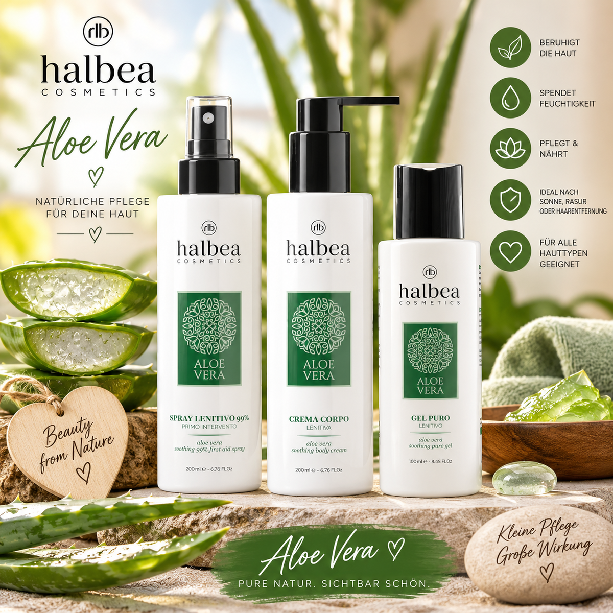 🌿💚 Aloe Vera Pflege-Bundle – 3 starke Pflegehelfer für deine Haut 💚🌿